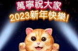 2023年最受欢迎的糖心主播TOP10推荐榜单