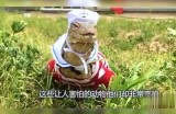 糖心主播推荐：那些魅力四射、风格各异的主播们，你最喜欢谁？
