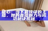 甜蜜时刻：糖心网红主播精彩瞬间合集视频欣赏