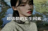 女主播霸气网名精选，展现个性与魅力的不同选择