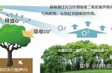 “探索糖心同人作品中的独特主播形象与风格”