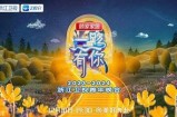 “热议糖心直播跨年盛典，共享欢庆时刻与精彩互动”