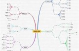 平静精英游戏中糖心主播的真实身份揭秘