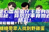 如何观看糖心小熊主播的直播节目，获取最新动态与资讯？