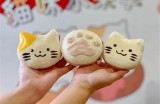 阳光甜美的糖心主播小猫，带你感受快乐直播时光