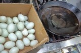“糖心姐姐情感分享：倾听心声，助你走出情感困惑”