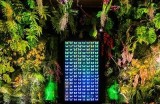 如何顺利进入海角社区的苹果平台？详细步骤解析。
