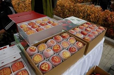 云南直播销售糖心苹果，品尝鲜美果香与健康新选择