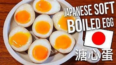 “主播糖心小熊个人简介及其热门直播内容详解”