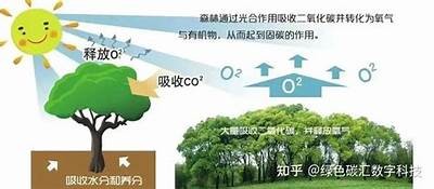 “探索糖心同人作品中的独特主播形象与风格”