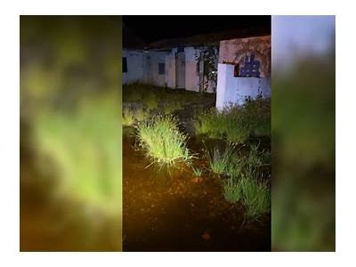 《探寻逃亡之路：鬼追人电影在线免费观看》