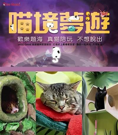 甜蜜主播芋喵喵：带你畅游游戏世界，精彩不容错过！