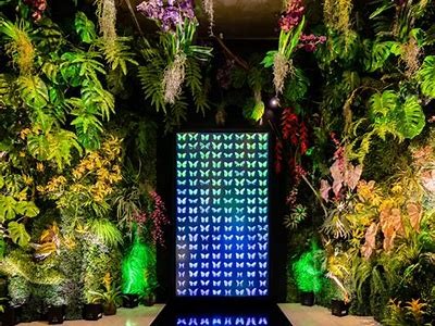 如何顺利进入海角社区的苹果平台？详细步骤解析。