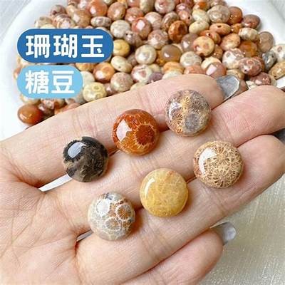主播半糖心甜的精彩直播内容与互动体验分享