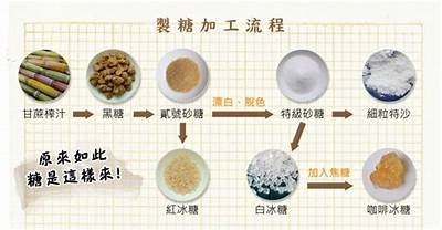 如何为糖心主播取一个创意又吸引人的网名？