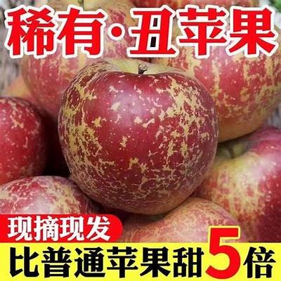 云南昭通糖心苹果主播推荐：甜蜜口感，健康选择，尽在直播间！