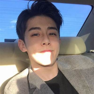 男主播糖心风格头像图片大全，展现个性与魅力的精选汇总