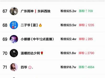 女主播霸气网名推荐大全,展现个性与魅力的精选选择