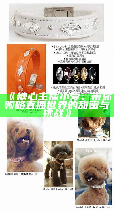 如何为“糖心主播”选择一个合适且吸引人的网名？