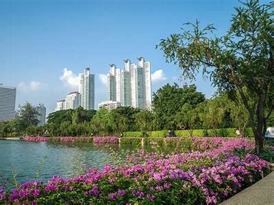 如何顺利访问糖心Vlog官方网站的详细步骤与指南