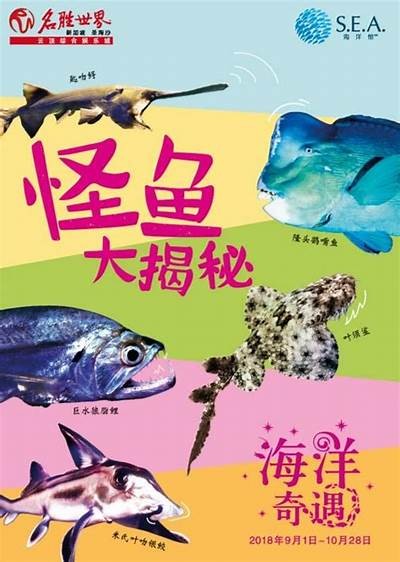 《海盗奇遇记：在无尽海洋中的冒险旅程》
