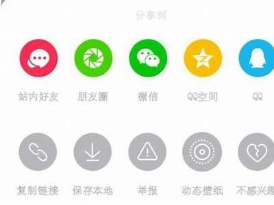 如何在抖音上成为受欢迎的糖心主播，分享你的精彩瞬间！