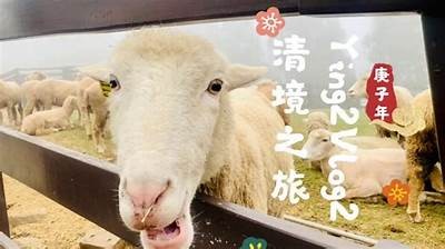 "探索灵溪之美：糖心Vlog带你发现独特风景与人文魅力"