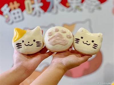 阳光甜美的糖心主播小猫，带你感受快乐直播时光