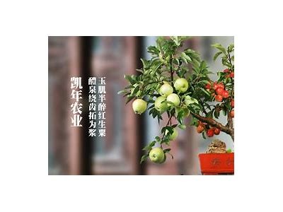 如何找到糖心主播推荐的观看平台？详细指南分享！