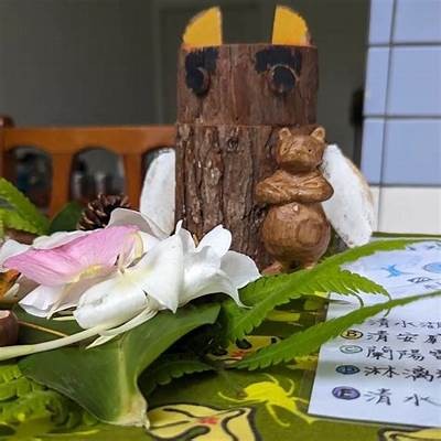 《糖心UP主播司雨：带你探索全新直播世界的精彩之旅》