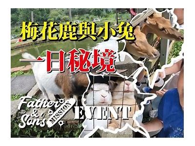 甜美主播小鹿的直播之旅：分享快乐与游戏的世界