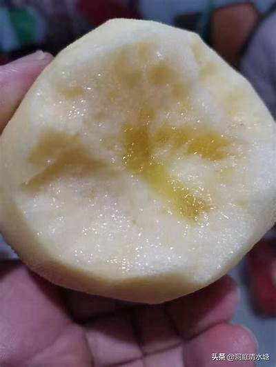 “揭秘糖心苹果的直播主：谁是背后的推手？”