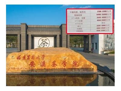 主播糖心公主的扮演者是谁？揭秘她背后的故事与人气原因
